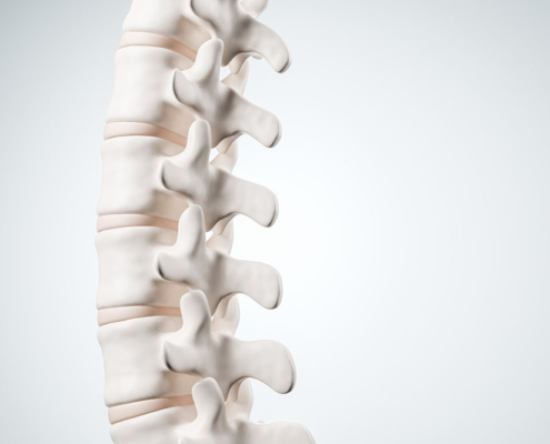 3D illustration of human spine